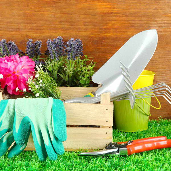 Господарський інвентар